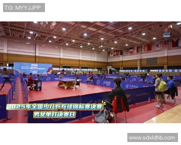 深圳乒乓球队灵活性创新高引发全国关注乒乓球运动新风潮