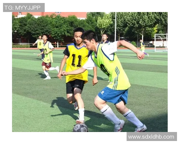 热爱少林足球的足球明星们如何在绿茵场上展现独特魅力与风采