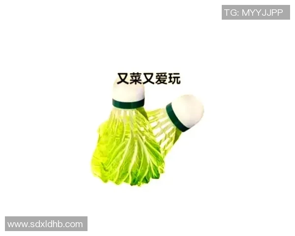 羽毛球新手必看：快速掌握技巧与训练方法的全面指南