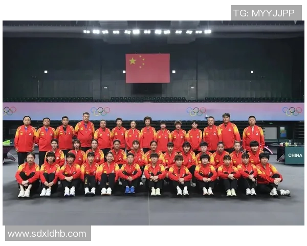 乒乓球个人能力排行榜揭晓武汉乒乓球队荣登第五名引发关注
