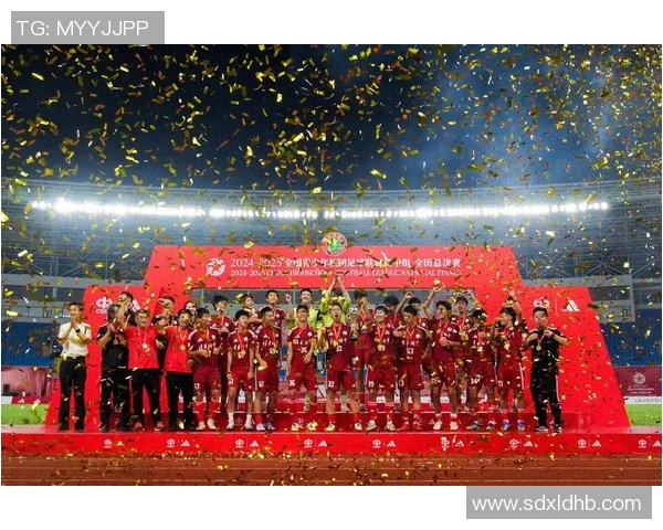 全国赛足球明星盘点及其成就分析与未来发展展望