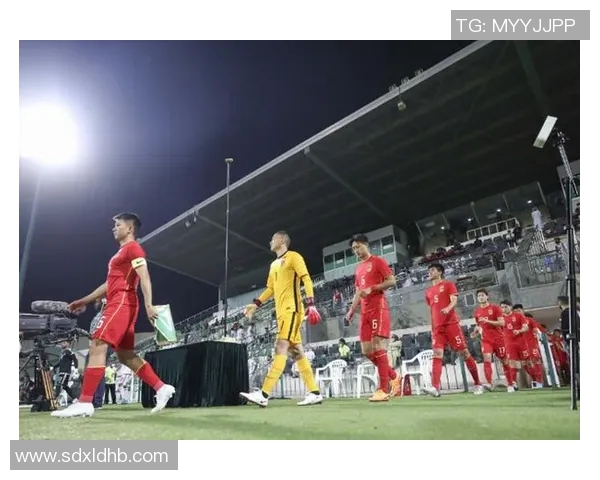 北京排球队团队协作引发热议球迷对战术配合和球员默契的不同看法