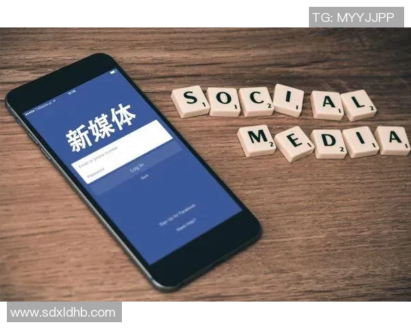 北京足球队运营策略分析及其成败经验总结