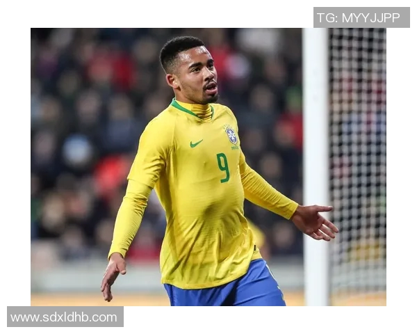 巴西足球传奇人物的璀璨星光与他们的辉煌成就