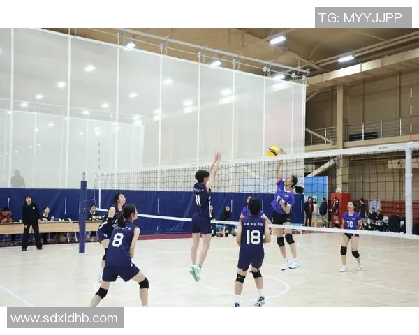 排球比赛经验排行榜揭晓北京排球队荣获第七名成就引关注