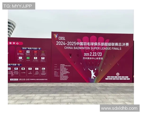 杭州羽毛球队在联赛中的比赛经验与表现分析及未来展望