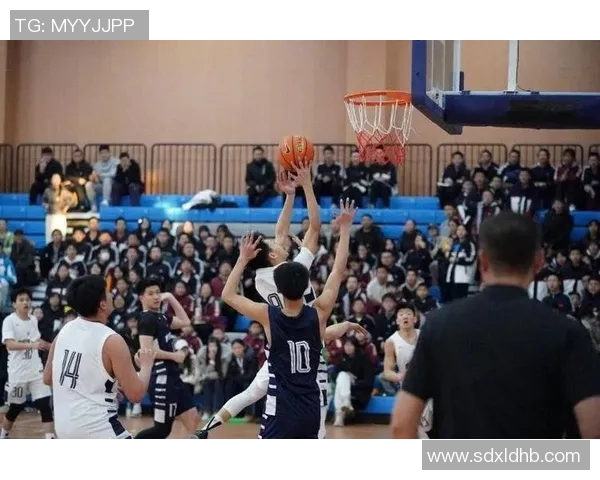 西安篮球队在篮球意识排名中创下新高展现团队实力与战术创新 西安篮球队在篮球意识排名中创下新高展现团队实力与战术创新