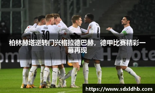 伟德bv国际体育