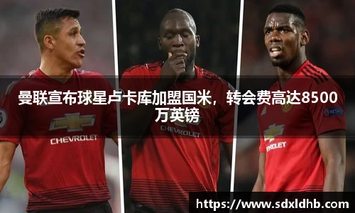 伟德bv国际体育