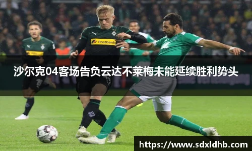 沙尔克04客场告负云达不莱梅未能延续胜利势头