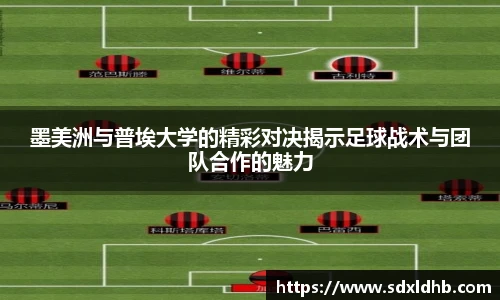 伟德bv国际